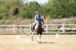 SBM_002533