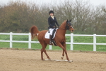SBM_001207