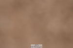 231217A-102948-00151