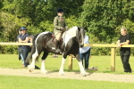 SBM_67377