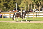 SBM_29413
