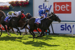 240824-Race 5-Elmonjed-9178
