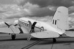 photo Alwyn Johnston