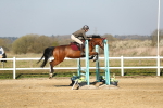 SBM_000220