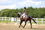 SBM_002176