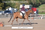 BPP_8209