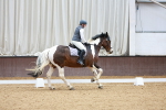 Class 14 - Novice 2 portfolio
