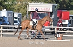 BPP_8198