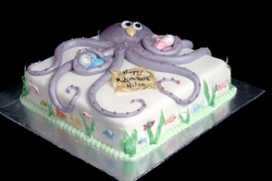 Creative projects portfolio