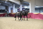 SBM_13119