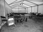 Marlborough Jazz Morning After