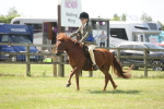 SBM_07719