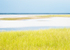 KOUCHIBOUGUAC NP #1 - NEW BRUNSWICK