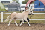 SBM_08452