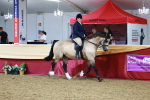 SBM_23444