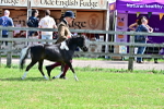 SBM_03656