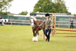 SBM_06056
