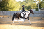 SBM_14585