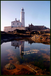 St mary's rock pool, Northumberland coast
