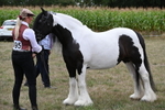 WJ6_5477