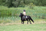WJ7_8893