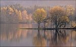 Autumn Calm