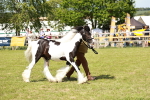 SBM_08651