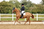SBM_005359