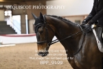 BPP_9199