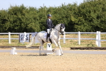 SBM_009208