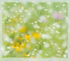 JULY MEADOW IMPRESSION , 2017 - NORFOLK COUNTY