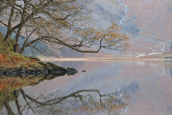Glendalough Reflection