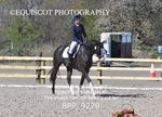 BPP_9229