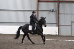 GDG Dressage Cabin 22- 23rd MArch 2025 portfolio
