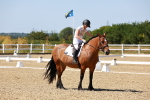 SBM_012610