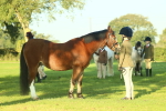 SBM_57441
