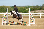 SBM_006173