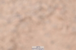 260923B-132228-00377