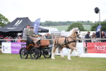 SBM_05630