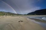 Purakaunui Bay rainbow