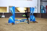SBM_006029