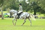 SBM_62426