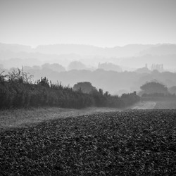 Mono Squares portfolio