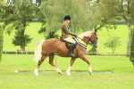 SBM_75126