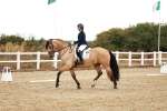SBM_001754