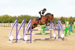SBM_003667
