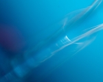 Abstract 3