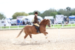 SBM_15792