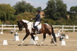 SBM_021113