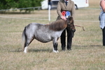 WJ7_8191